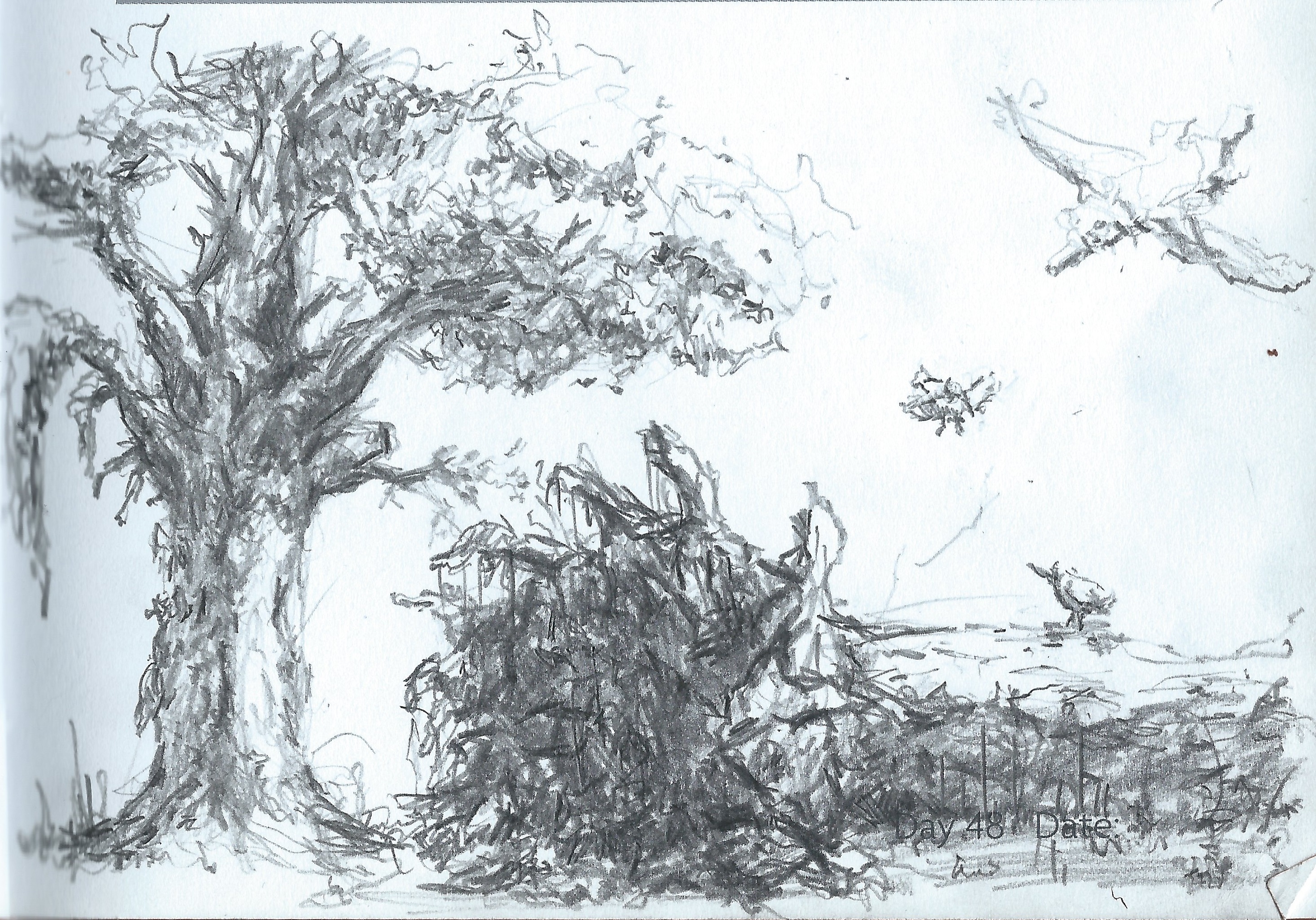 SCAN0023.jpg